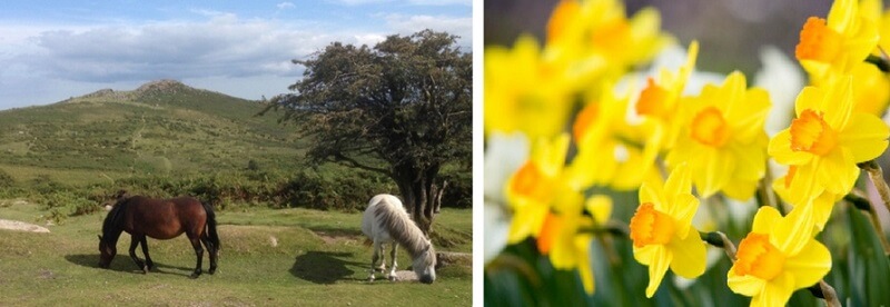 Spring activities walks Devon Dartmoor